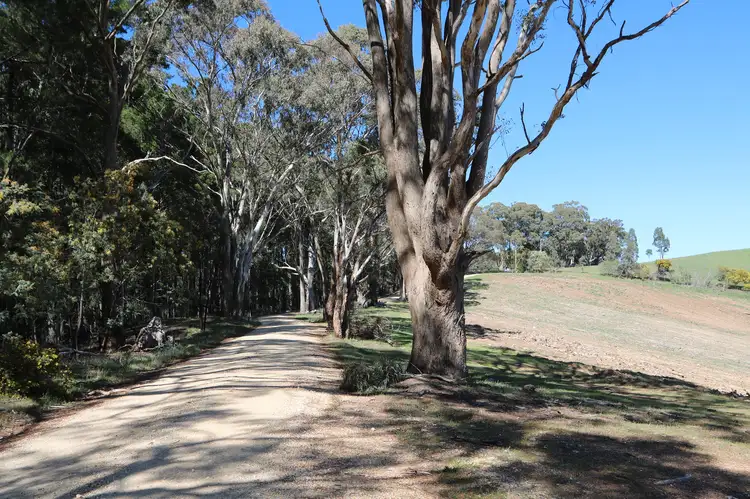 Sixth view of Homely land listing, 106 Torpys Lane, Glenlyon VIC 3461