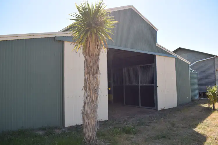Fourth view of Homely rural property listing, 1501 Boort-Mitiamo Road, Calivil VIC 3573