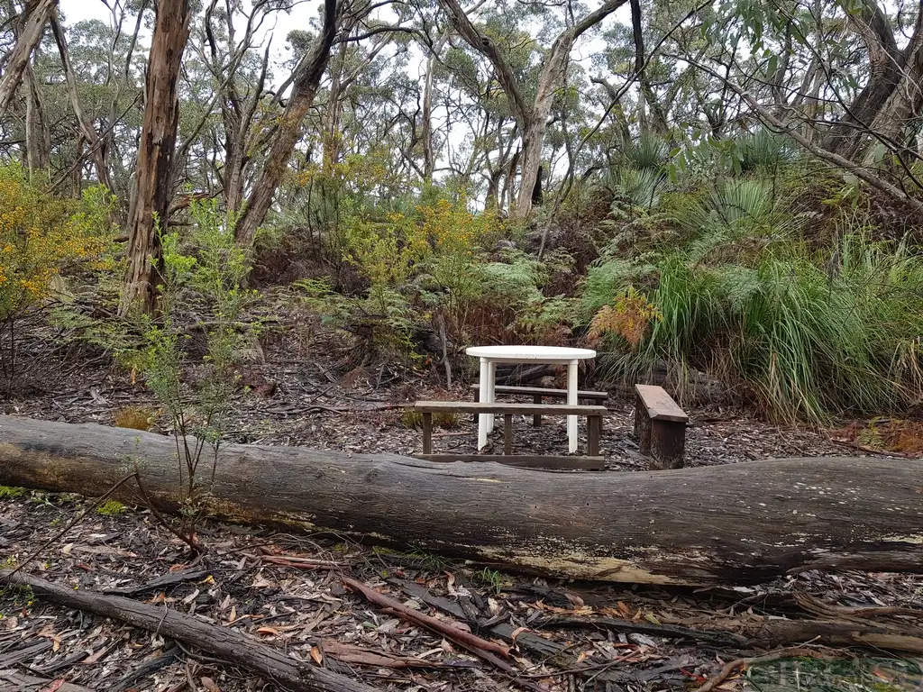 Main view of Homely rural property listing, LOT 140 Tin Hut Road, Duncan SA 5223