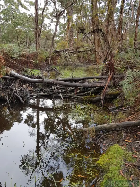 Second view of Homely rural property listing, LOT 140 Tin Hut Road, Duncan SA 5223