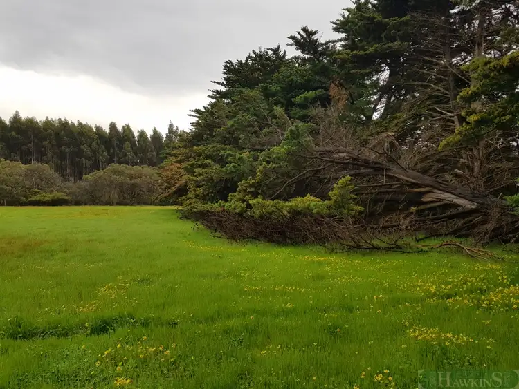 Fourth view of Homely rural property listing, LOT 140 Tin Hut Road, Duncan SA 5223