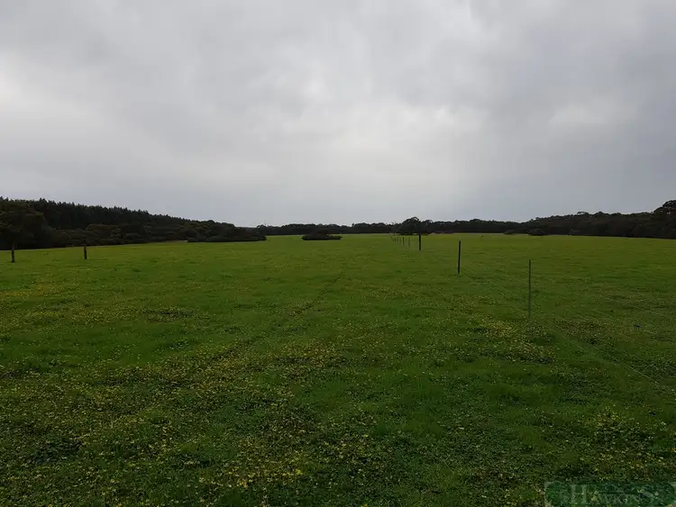 Sixth view of Homely rural property listing, LOT 140 Tin Hut Road, Duncan SA 5223
