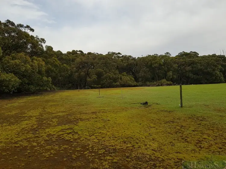 Seventh view of Homely rural property listing, LOT 140 Tin Hut Road, Duncan SA 5223