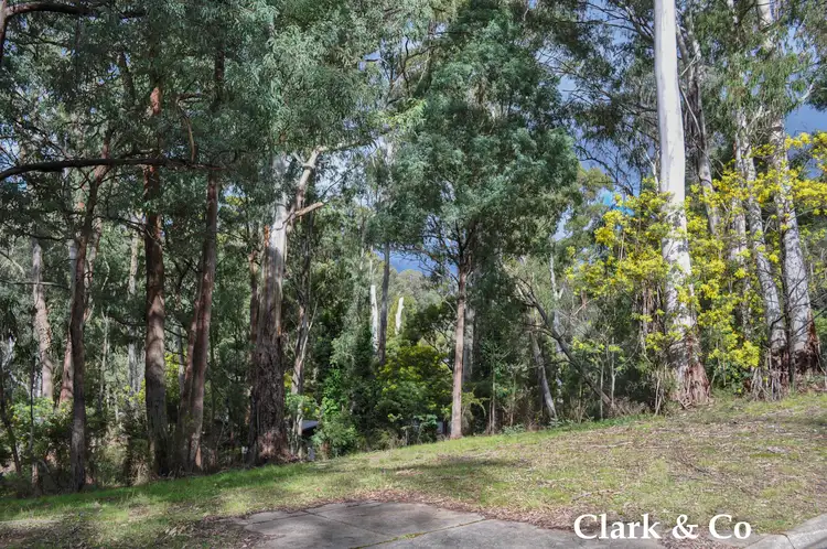 Main view of Homely land listing, 3 Settlement Court, Sawmill Settlement VIC 3723