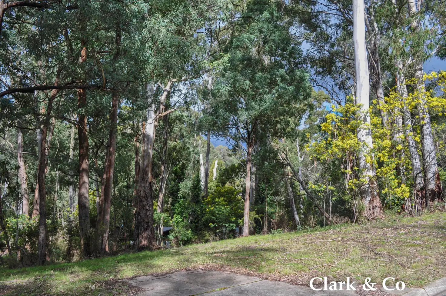 Main view of Homely land listing, 3 Settlement Court, Sawmill Settlement VIC 3723