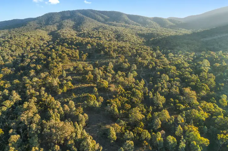 Main view of Homely land listing, 1342 Glen Creek Road, Barjarg VIC 3723