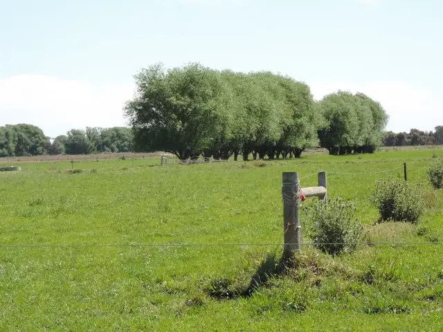 Third view of Homely rural property listing, 379 Kervins Road, Cohuna VIC 3568