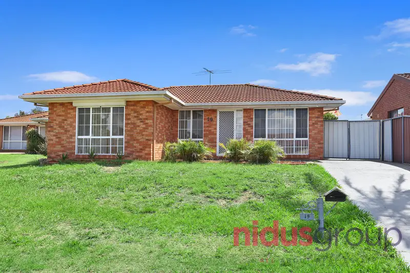 Main view of Homely house listing, 19 Alroy Crescent, Hassall Grove NSW 2761