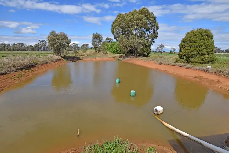 Sixth view of Homely rural property listing, 310 Andrews Road, Merrigum VIC 3618