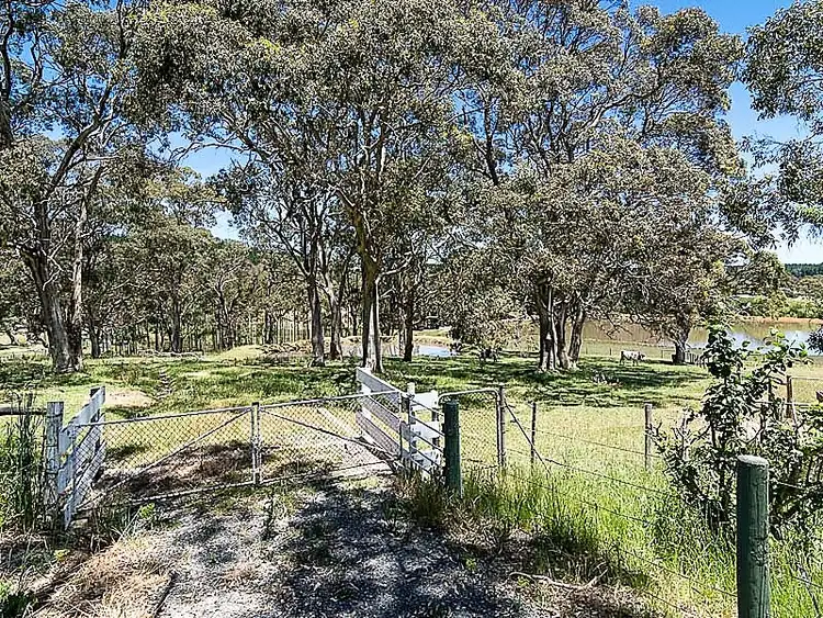 Sixth view of Homely rural property listing, 331 Harvey Road, Meadows SA 5201