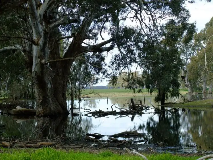 Second view of Homely rural property listing, 469 Bunganail Road, Nagambie VIC 3608