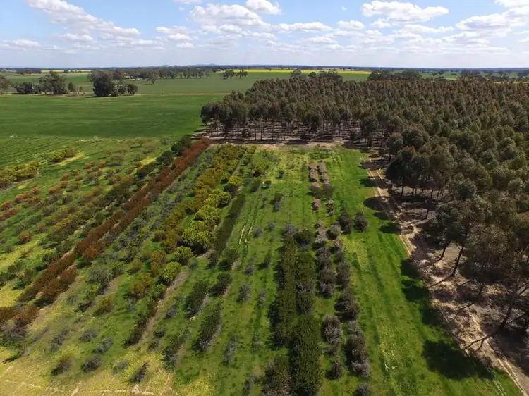 Fourth view of Homely rural property listing, 469 Bunganail Road, Nagambie VIC 3608