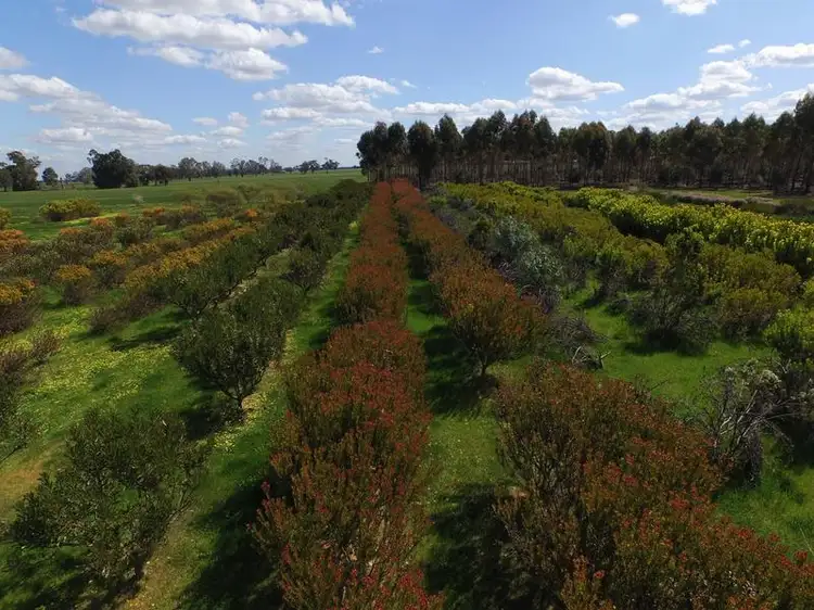 Sixth view of Homely rural property listing, 469 Bunganail Road, Nagambie VIC 3608