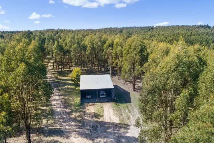 Second view of Homely rural property listing, 125 Dry Creek Road, Wandong VIC 3758
