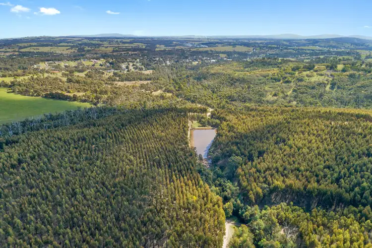 Third view of Homely rural property listing, 125 Dry Creek Road, Wandong VIC 3758