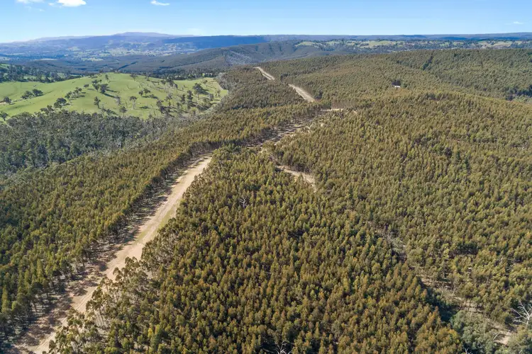 Fourth view of Homely rural property listing, 125 Dry Creek Road, Wandong VIC 3758