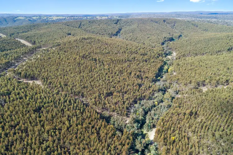 Fifth view of Homely rural property listing, 125 Dry Creek Road, Wandong VIC 3758