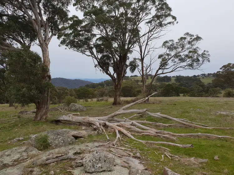 Main view of Homely rural property listing, C.A.64 Landscape Road, Tallarook VIC 3659