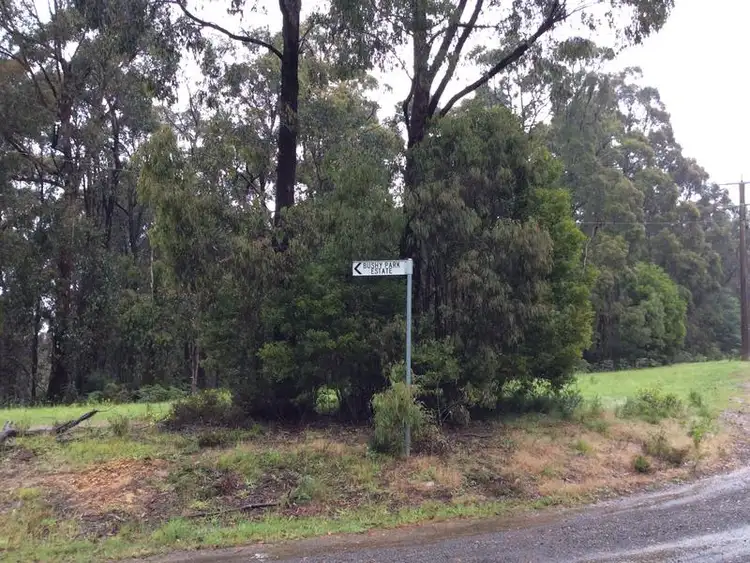 Second view of Homely rural property listing, 50 Bushy Park Estate Road, Kinglake VIC 3763