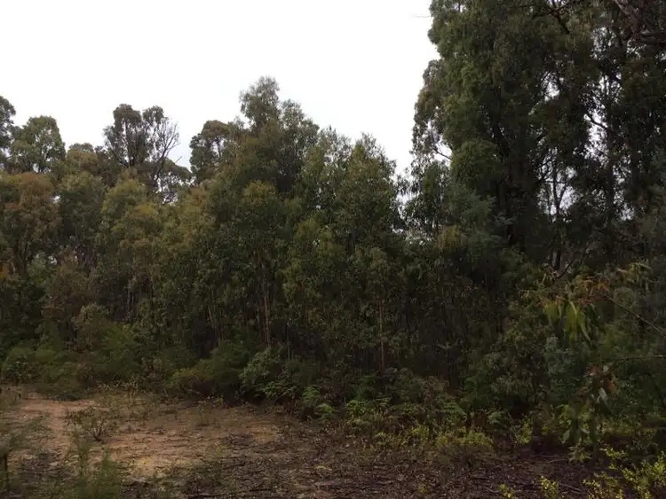Fifth view of Homely rural property listing, 50 Bushy Park Estate Road, Kinglake VIC 3763