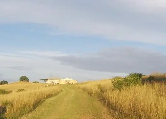 Main view of Homely rural property listing, 48 Coopers Road, Booie QLD 4610