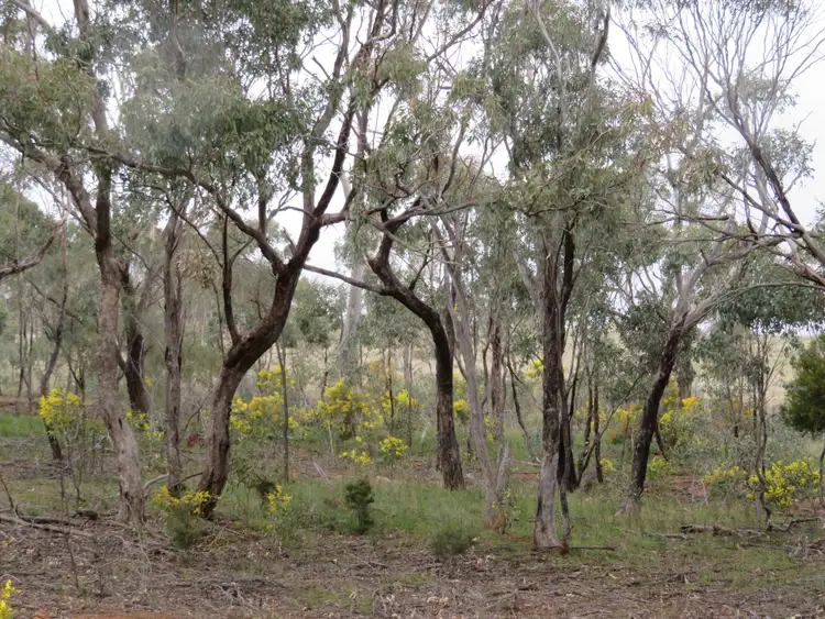 Third view of Homely land listing, LOT 5 Old St Arnaud Road, Berrimal VIC 3518