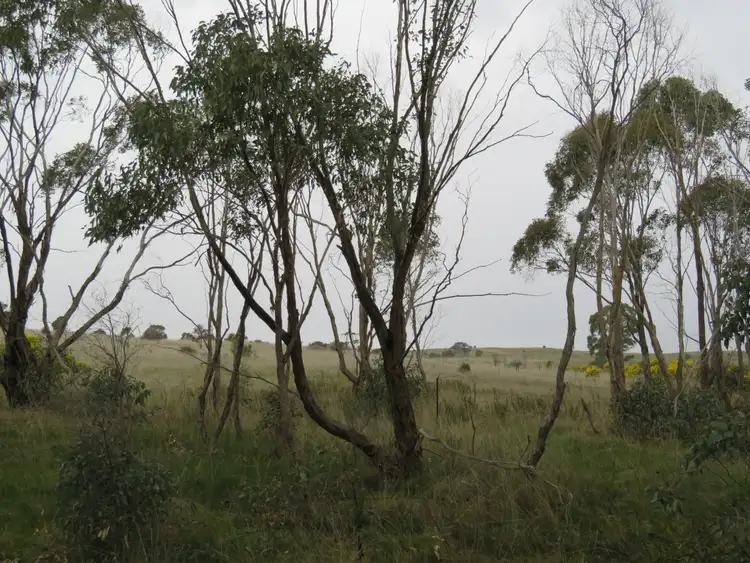 Fourth view of Homely land listing, LOT 5 Old St Arnaud Road, Berrimal VIC 3518