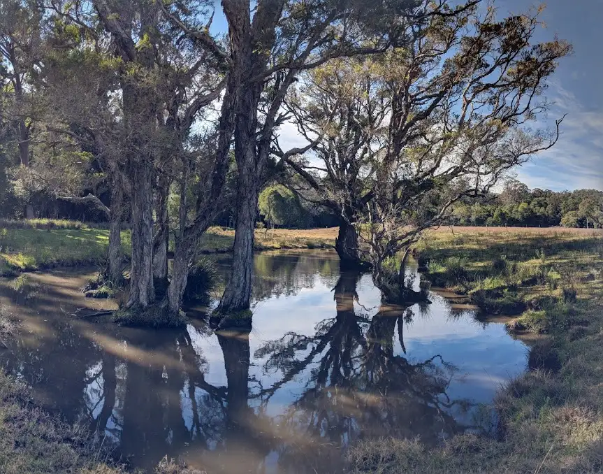 Main view of Homely land listing, Address available on request