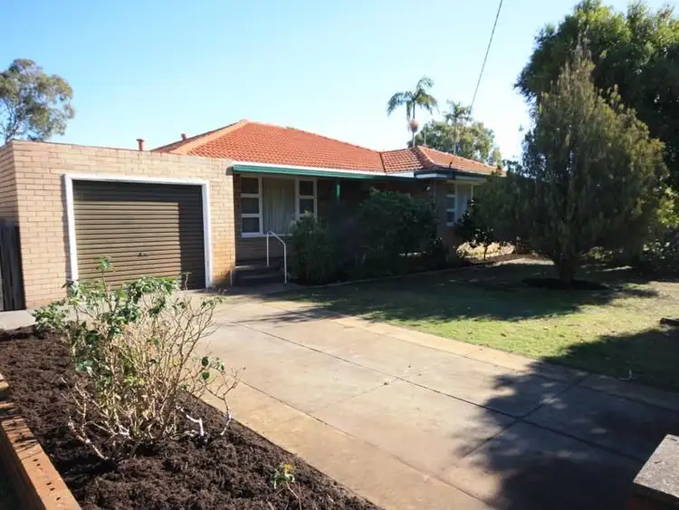 13 Illingbridge Street, Morley WA 6062