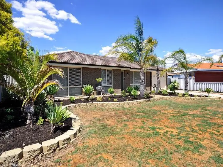 Second view of Homely house listing, 45 Jacana Parade, Ballajura WA 6066