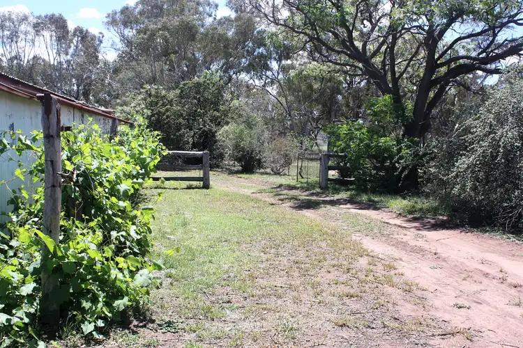 Fourth view of Homely house listing, 1009 Warrumbungles Way, Coolah NSW 2843