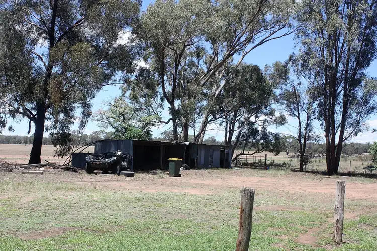 Seventh view of Homely house listing, 1009 Warrumbungles Way, Coolah NSW 2843