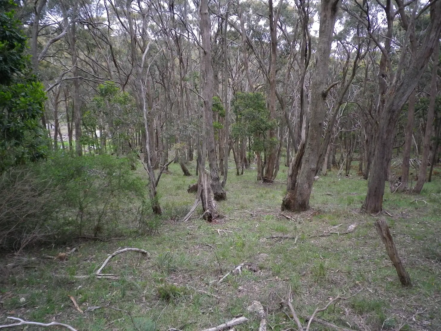 Main view of Homely land listing, LOT 12 Trounces, Mount Egerton VIC 3352