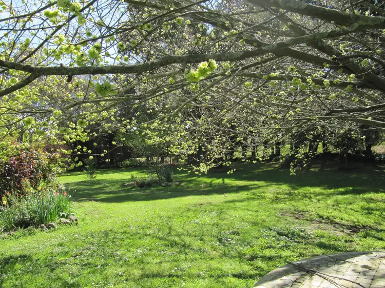 Sixth view of Homely rural property listing, 359 Mount Gisborne Road, Gisborne VIC 3437