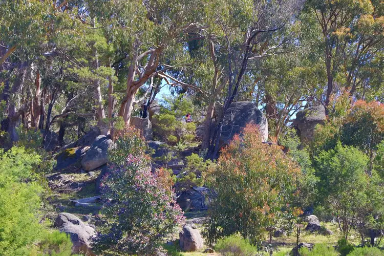 Second view of Homely rural property listing, 335 Landscape Road, Tallarook VIC 3659
