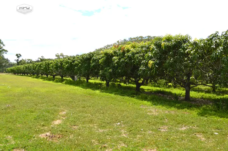 Second view of Homely rural property listing, 531 Boonmoo Road, Dimbulah QLD 4872