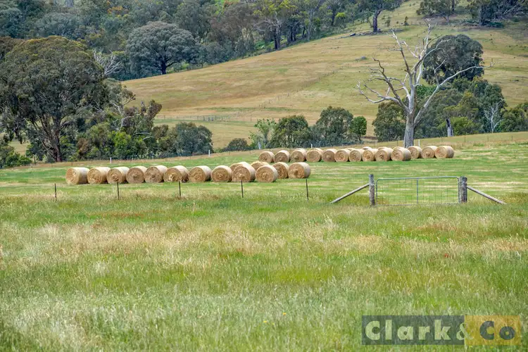 Seventh view of Homely rural property listing, 71 Phelans Road, Boorolite VIC 3723