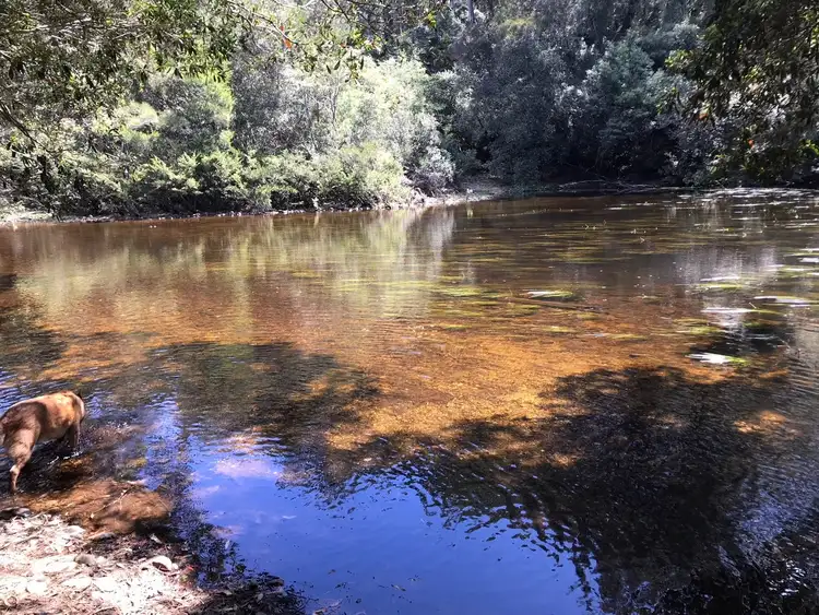 Fourth view of Homely rural property listing, LOT 2 Brooman Road, Brooman NSW 2538