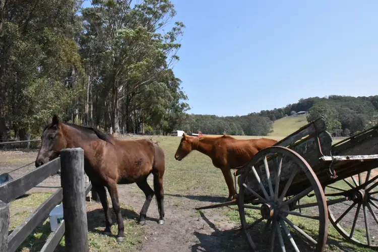 Second view of Homely rural property listing, LOT 9 Fishermans Paradise Road, Conjola NSW 2539