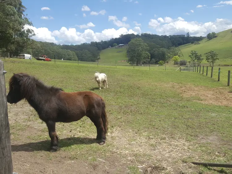 Fourth view of Homely rural property listing, LOT 9 Fishermans Paradise Road, Conjola NSW 2539