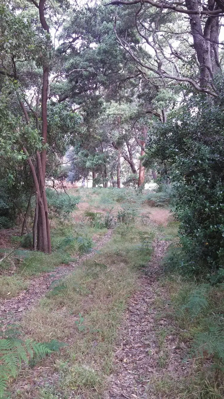 Third view of Homely land listing, Section 858 Wylie Road, Hatherleigh SA 5280