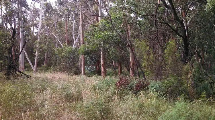 Fifth view of Homely land listing, Section 858 Wylie Road, Hatherleigh SA 5280