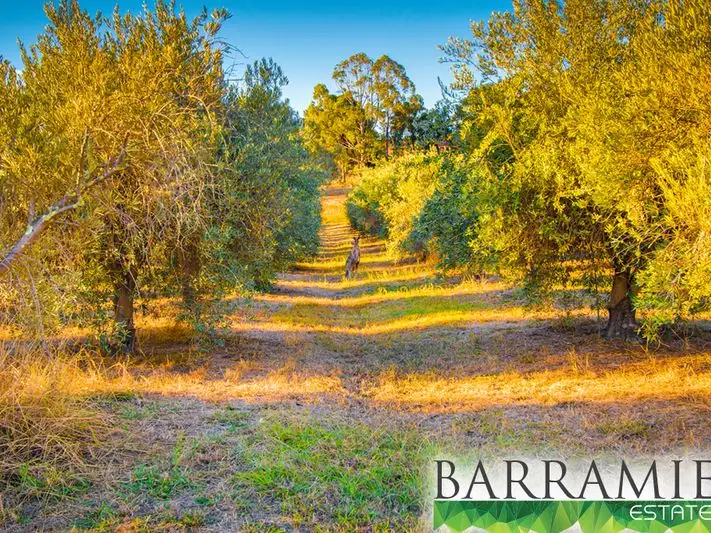 Third view of Homely land listing, LOT 30 Beethoven Street, Springdale Heights NSW 2641