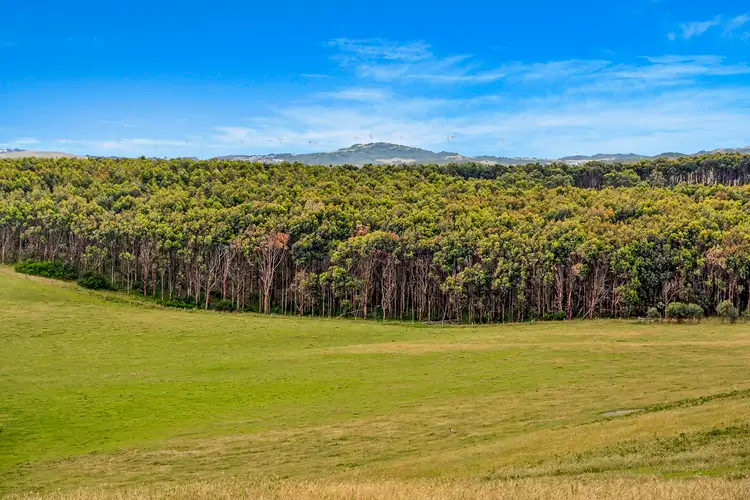 Second view of Homely rural property listing, Lot 1 Bridgewater Road, Cape Bridgewater VIC 3305