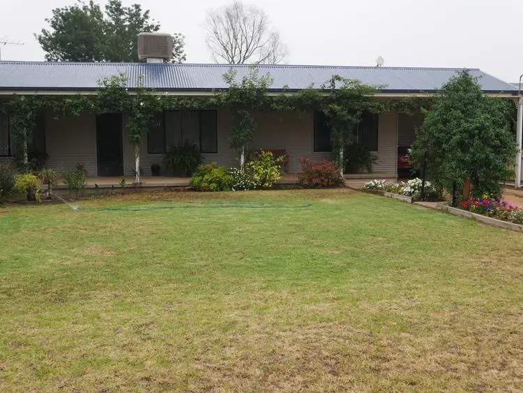 35 Brisbane Street, Leeton NSW 2705