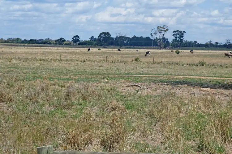Fifth view of Homely rural property listing, Hadfield Road, Stanhope VIC 3623