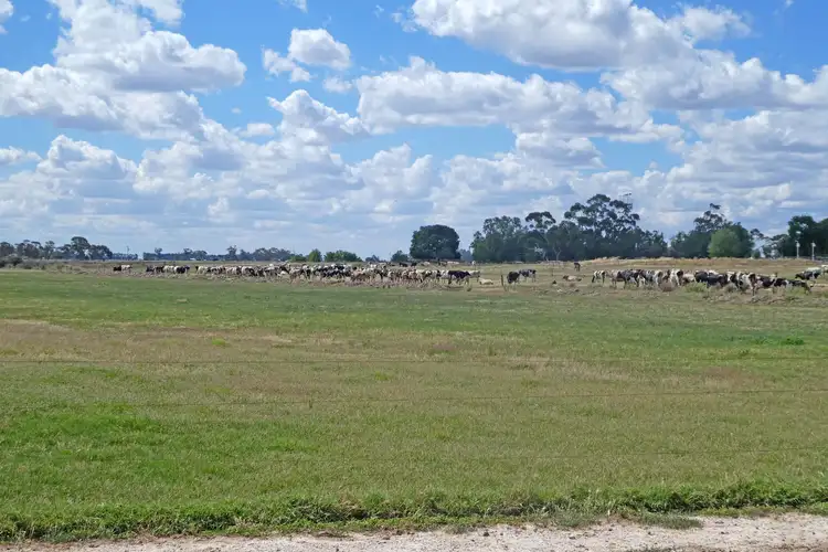 Fifth view of Homely rural property listing, 49 Martin Road, Stanhope VIC 3623