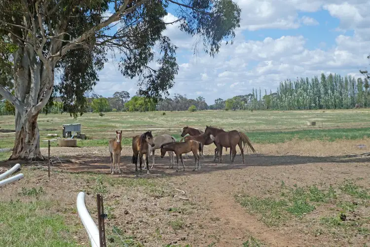 Seventh view of Homely rural property listing, 48 Martin Road, Stanhope VIC 3623