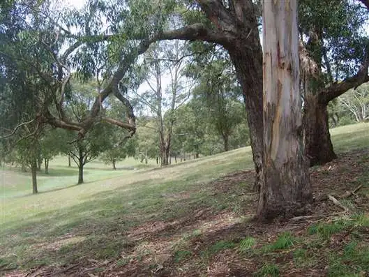 Second view of Homely land listing, LOT 207/63 Morris Place, Little Hartley NSW 2790