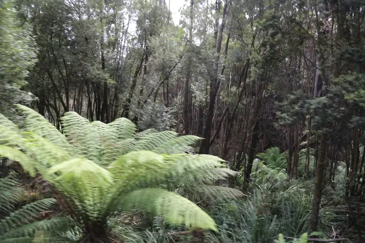 Second view of Homely land listing, 00 Dip Road, Mawbanna TAS 7321